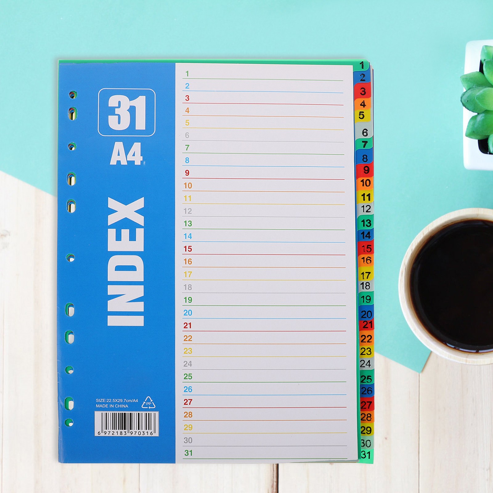 1Set Dividers A4 11-Hole PP St - Tab Divider A4 recensione e prezzo