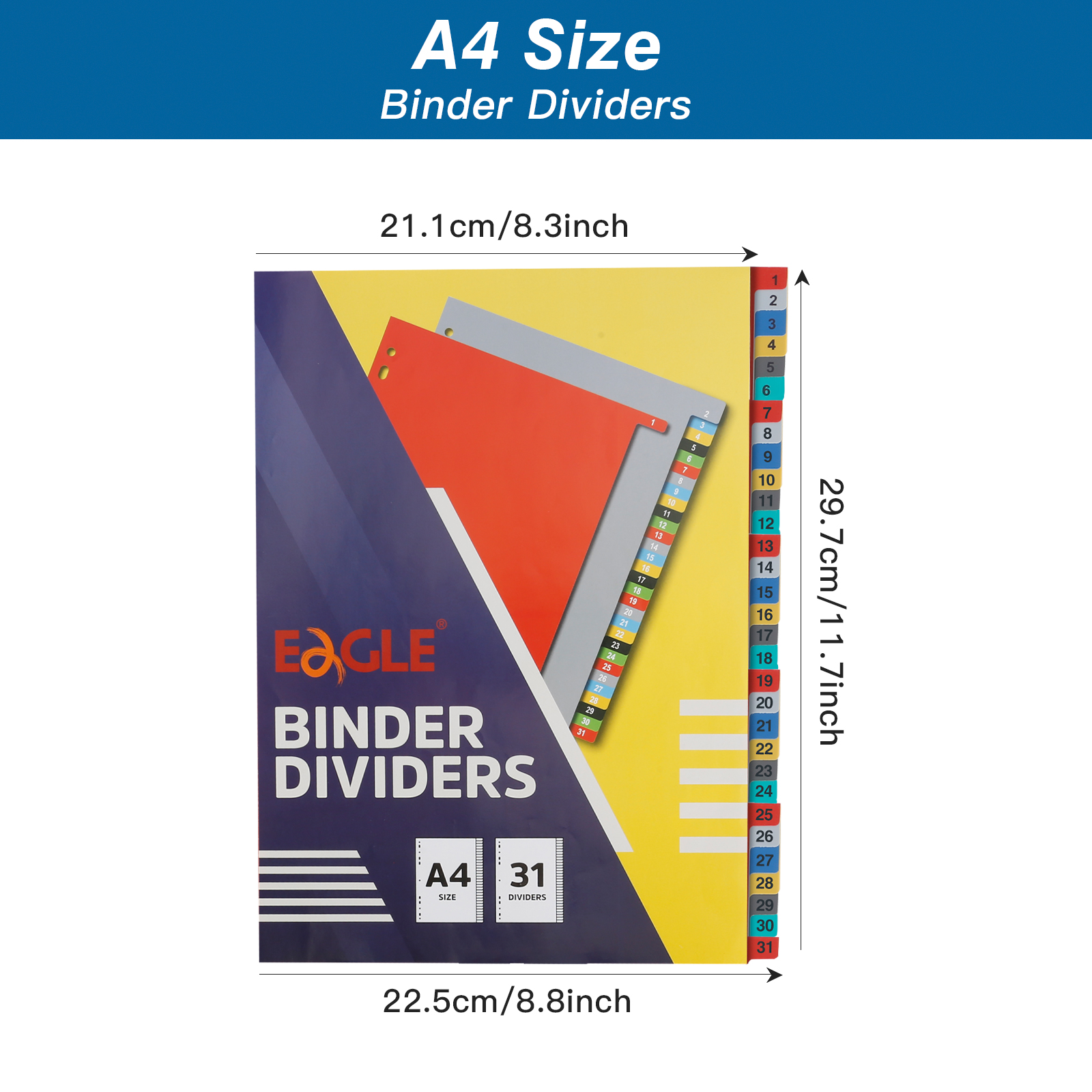 EAGLE A4 Binder Index Divider  - Binder A4 Lever recensione e prezzo