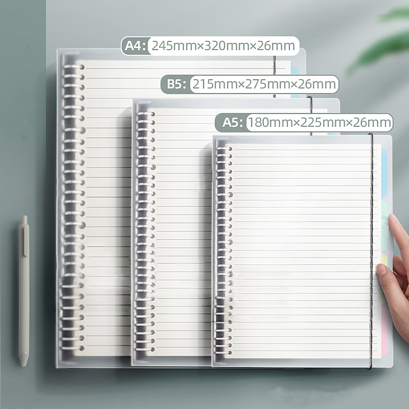 A5/B5/A4 Binder Notebooks Loos - Binder A4 Lever recensione e prezzo