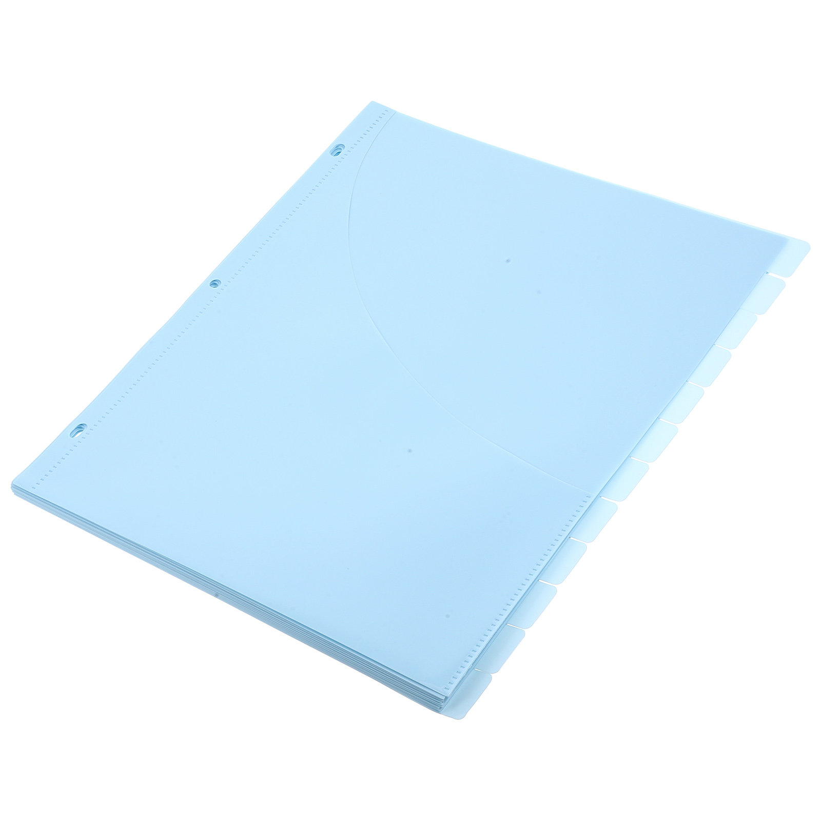 12Pcs Binder Dividers A4 Size  - Tab Divider A4 recensione e prezzo
