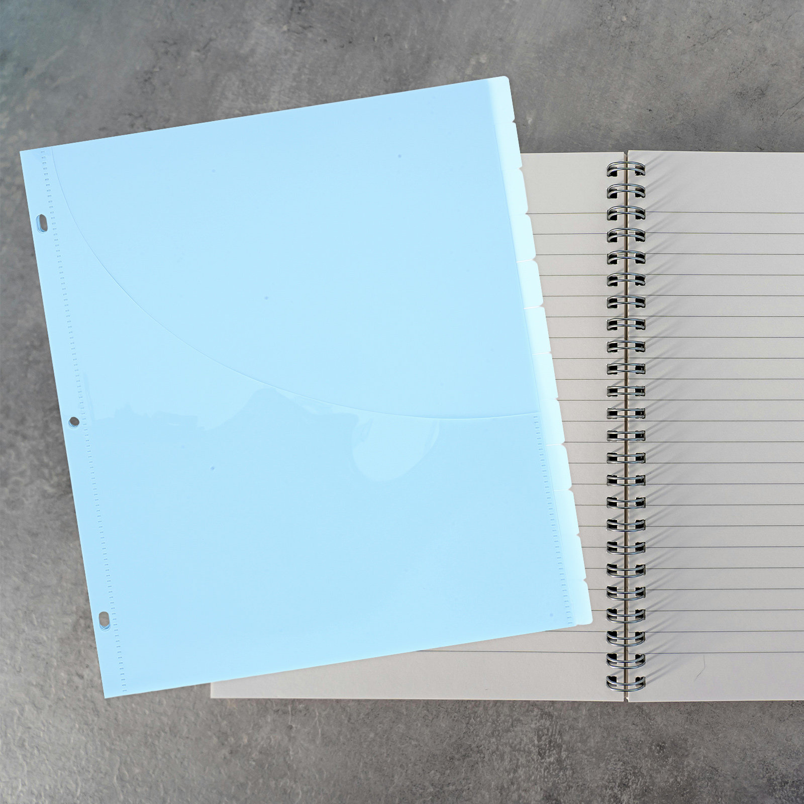 12Pcs Binder Dividers A4 Size  - Tab Divider A4 recensione e prezzo