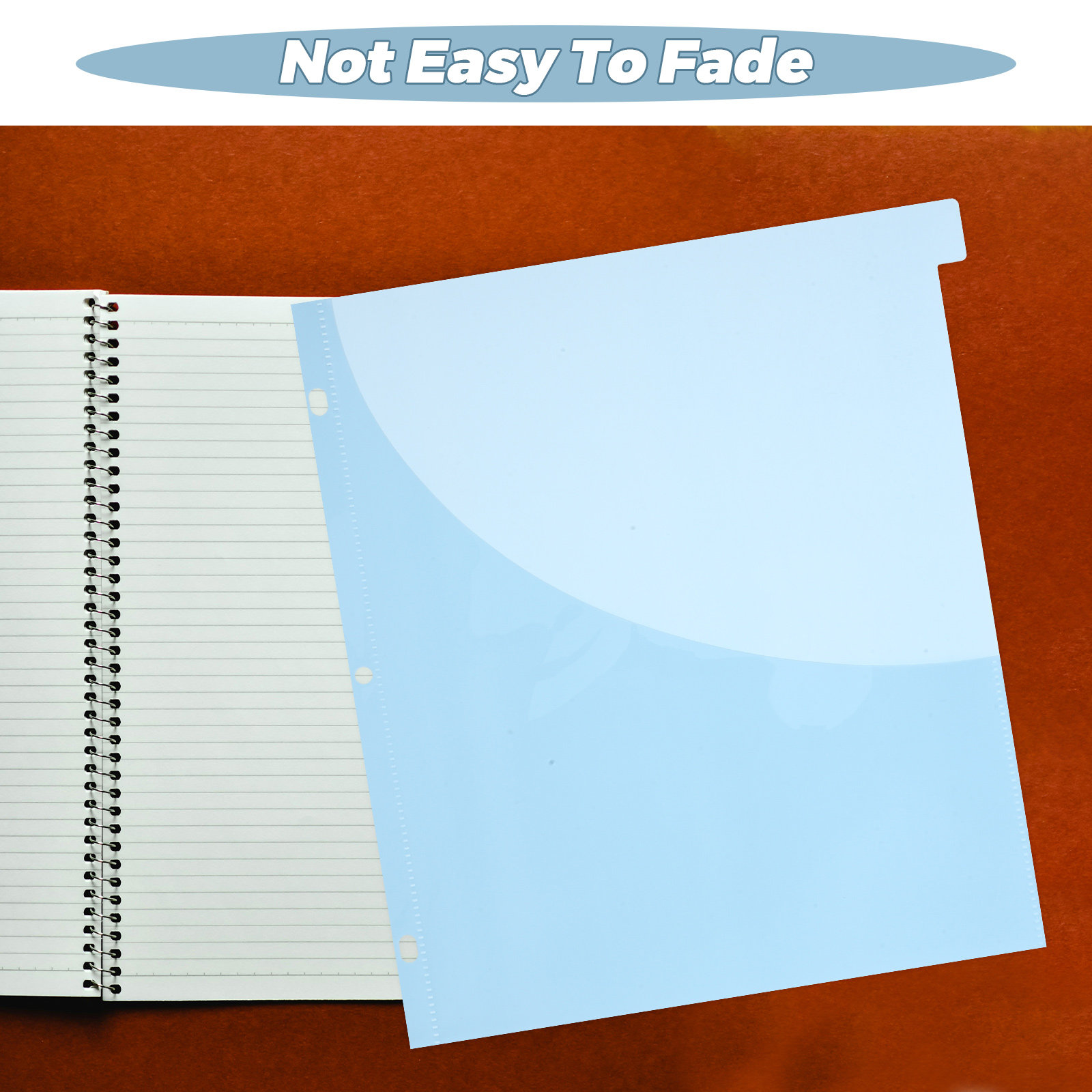 12Pcs Binder Dividers A4 Size  - Tab Divider A4 recensione e prezzo