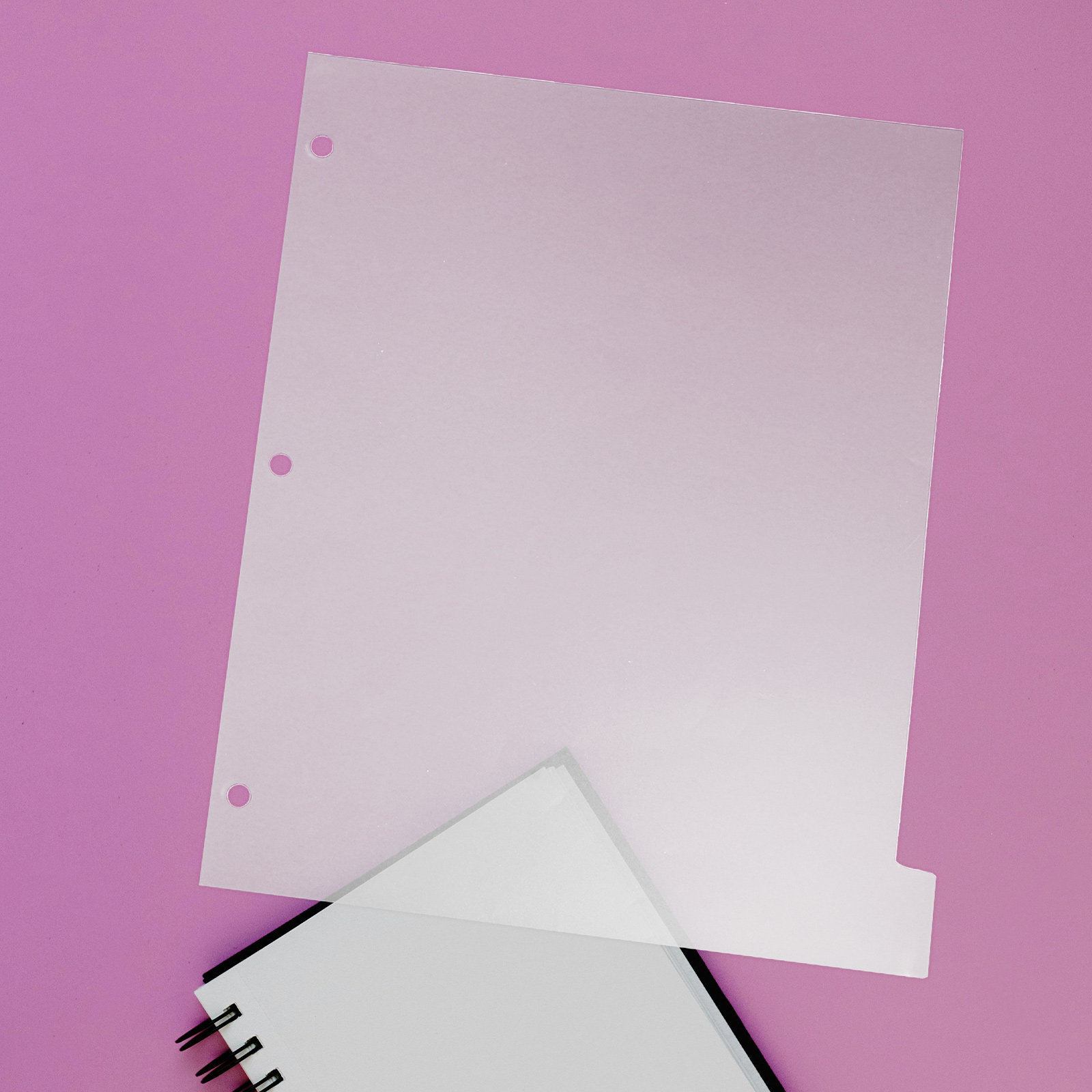 8 Sheets Tabbed Divider Pages  - Tab Divider A4 recensione e prezzo